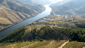 Douro1